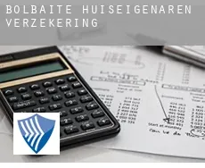 Bolbaite  huiseigenaren verzekering