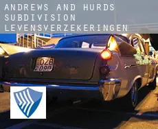 Andrews and Hurds Subdivision levensverzekeringen
