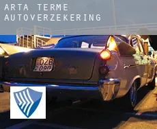 Arta Terme  autoverzekering