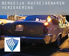 Bergeijk  huiseigenaren verzekering