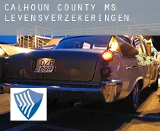 Calhoun County levensverzekeringen