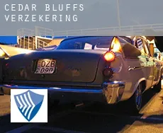 Cedar Bluffs verzekering