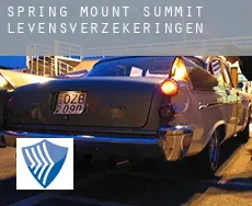 Spring Mount Summit  levensverzekeringen