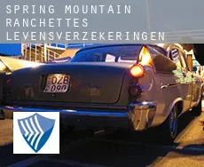 Spring Mountain Ranchettes  levensverzekeringen
