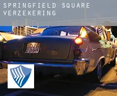 Springfield Square  verzekering