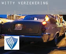 Witty verzekering