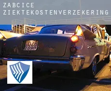 Žabčice  ziektekostenverzekering
