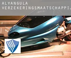 Alyangula  verzekeringsmaatschappij