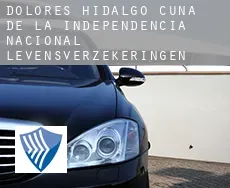 Dolores Hidalgo Cuna de la Independencia Nacional  levensverzekeringen