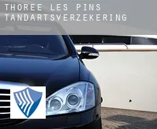 Thorée-les-Pins  tandartsverzekering