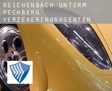 Reichenbach unterm Rechberg  verzekeringsagenten