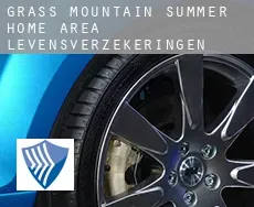 Grass Mountain Summer Home Area  levensverzekeringen