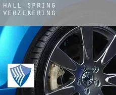 Hall Spring  verzekering