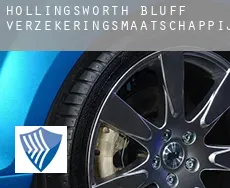 Hollingsworth Bluff  verzekeringsmaatschappij