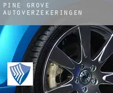 Pine Grove  autoverzekeringen