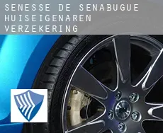 Sénesse-de-Senabugue  huiseigenaren verzekering