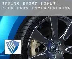 Spring Brook Forest  ziektekostenverzekering