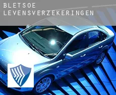 Bletsoe levensverzekeringen