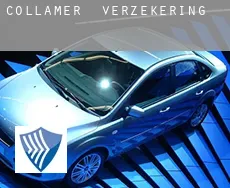 Collamer  verzekering