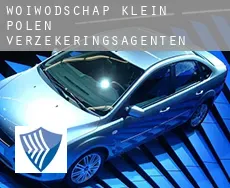 Woiwodschap Klein-Polen  verzekeringsagenten