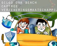 Gilgo-Oak Beach-Captree  verzekeringsmaatschappij