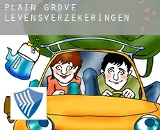 Plain Grove  levensverzekeringen
