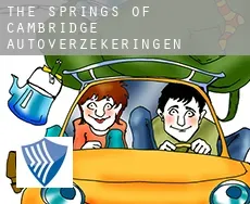 The Springs of Cambridge  autoverzekeringen