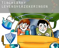 Tinchebray  levensverzekeringen