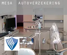 Mesa  autoverzekering
