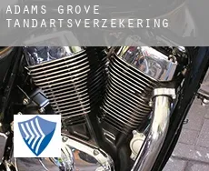 Adams Grove  tandartsverzekering