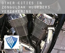 Other cities in Zonguldak  huurders verzekering