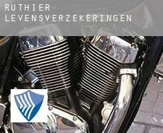 Ruthier  levensverzekeringen