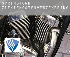Springtown  ziektekostenverzekering