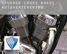 Spurree Cross Roads  autoverzekering