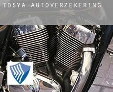 Tosya  autoverzekering