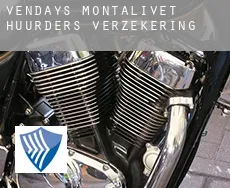 Vendays-Montalivet  huurders verzekering