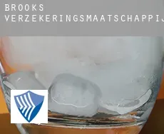 Brooks  verzekeringsmaatschappij