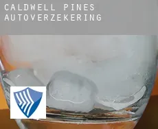 Caldwell Pines  autoverzekering