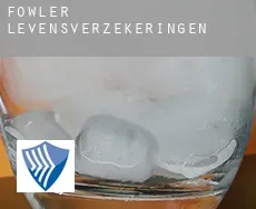 Fowler  levensverzekeringen