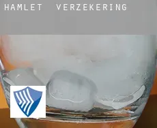 Hamlet  verzekering