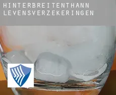 Hinterbreitenthann  levensverzekeringen