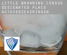 Little Browning  autoverzekeringen