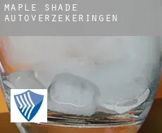 Maple Shade  autoverzekeringen