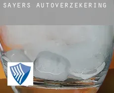 Sayers autoverzekering