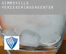 Simmsville  verzekeringsagenten