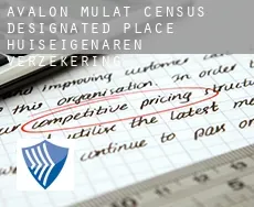 Avalon Mulat  huiseigenaren verzekering