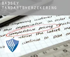 Badsey tandartsverzekering