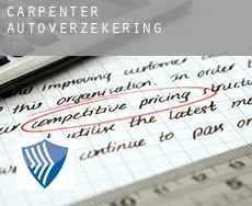 Carpenter  autoverzekering