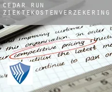 Cedar Run  ziektekostenverzekering