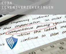 Cora  levensverzekeringen
